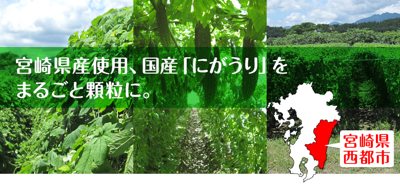 宮崎県産100％の 国産「にがうり」が、まるごと顆粒に。