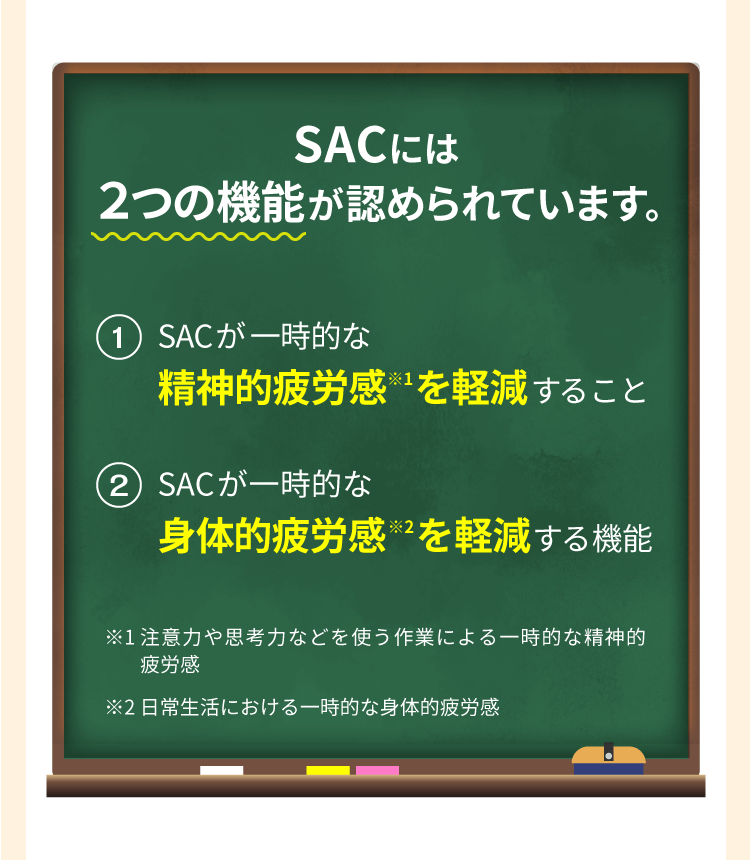 SACには注意力や思考力の低下を軽減・身体的疲労感を軽減する機能が認められています。